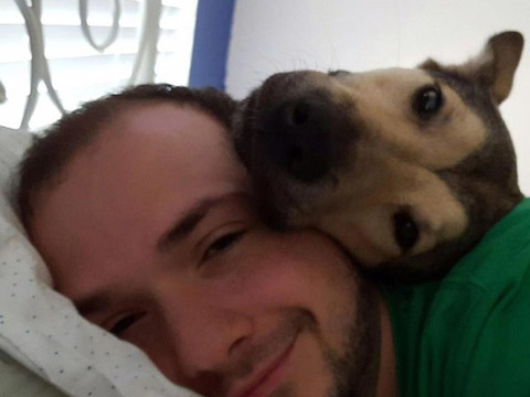 国外网友告诉你领养一只狗就是这么一回事