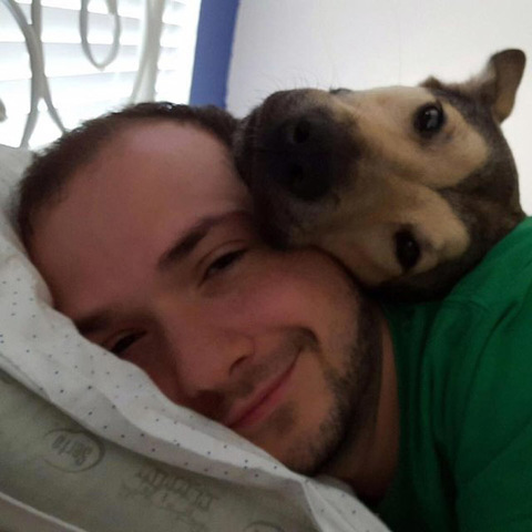 国外网友告诉你领养一只狗就是这么一回事