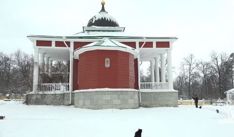 跟在神职者身后排队祈福 俄罗斯猫咪们好虔诚