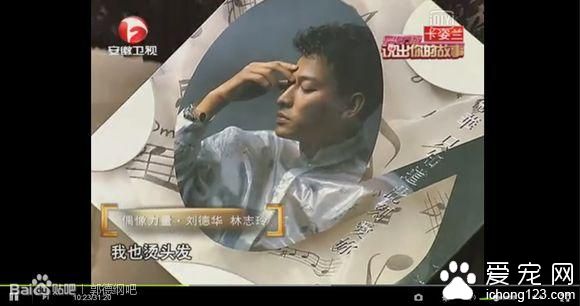 相声界第一玩主！娇妻似少女， “奢侈”爱好连郭德纲都羡慕！