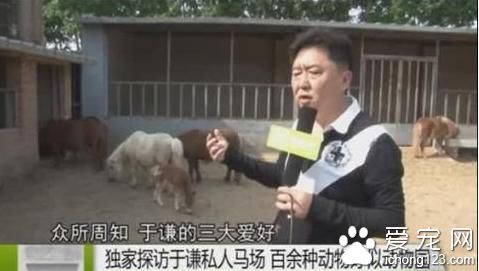 相声界第一玩主！娇妻似少女， “奢侈”爱好连郭德纲都羡慕！