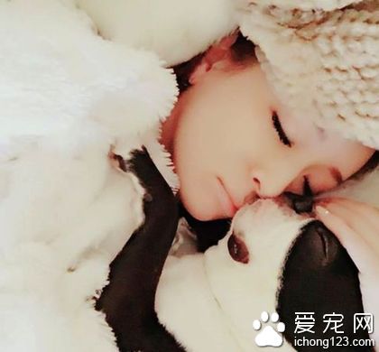 滨崎步与宠物