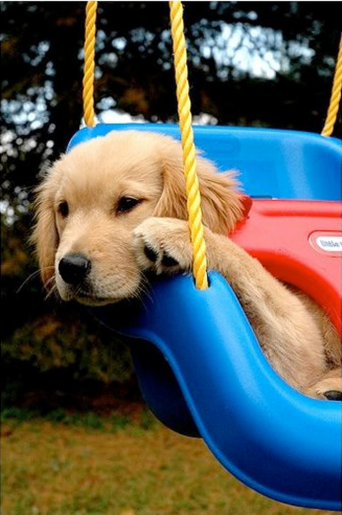 想要一起玩，有人约么？