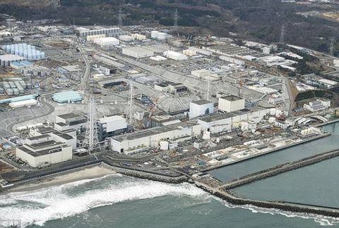 日本福岛核灾后现畸形动物 体内放射物超标300倍