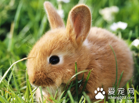 影响免疫效果的因素 5大原因易影响免疫效果