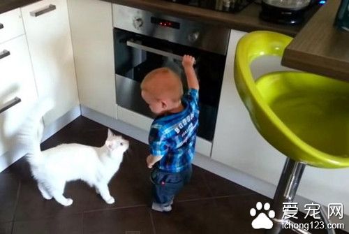 宝宝想碰灼热的炉子 猫咪赶紧阻止靠近