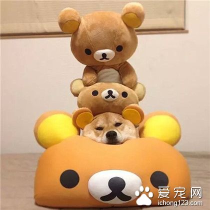 没有最可爱，只有更可爱*^o^*