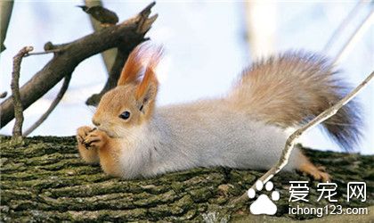 姿势很销魂噢！