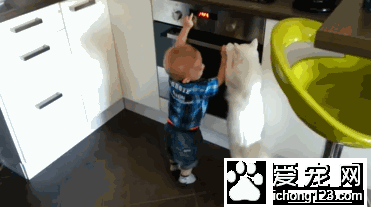 宝宝想碰灼热的炉子 猫咪赶紧阻止靠近