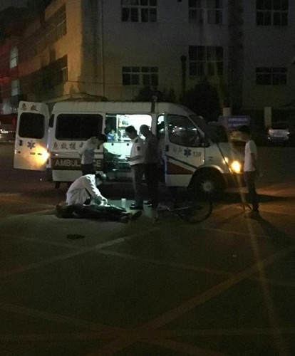 老人不幸骑车身亡 收养流浪犬不离不弃