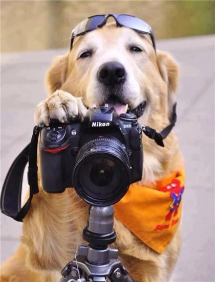 大毛要拍了啊！大家准备好了么？