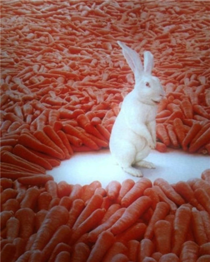 幸福来得那么突然！！！