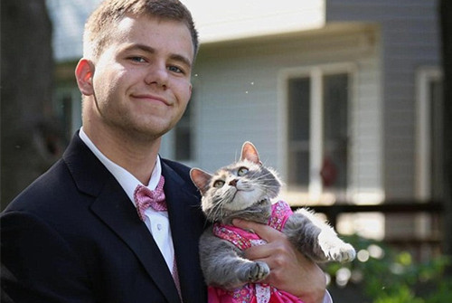 未找到女伴 小伙用宠物猫参加毕业舞会