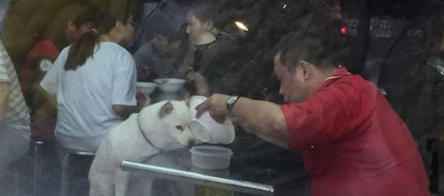 他拒绝女店员 帮狗狗装冰水后买了一份冰