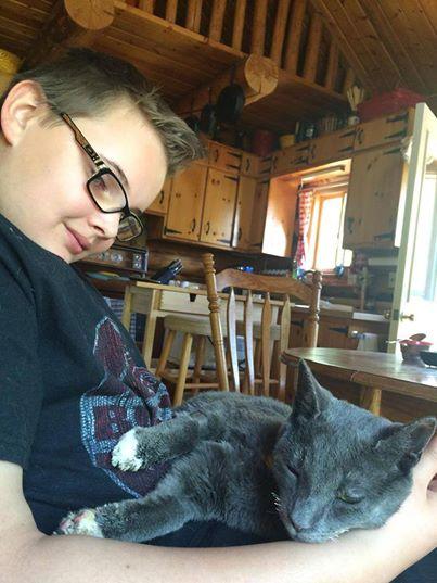 大火吞噬房子 被主人抛下的猫躲进烤箱存活下来