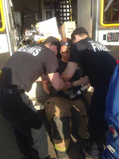 大火吞噬房子 被主人抛下的猫躲进烤箱存活下来