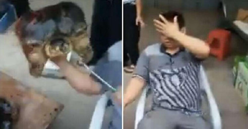 男子残忍将乌龟据成两半 乌龟临死报复