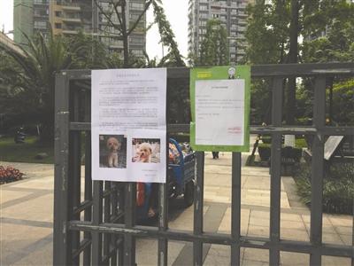 锦江区一小区 4天竟有5条狗被投毒毙命