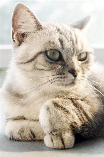 o_O，霸气女王范儿！