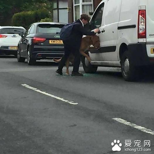 被关车内的狗 用头撞碎玻出来差点死掉