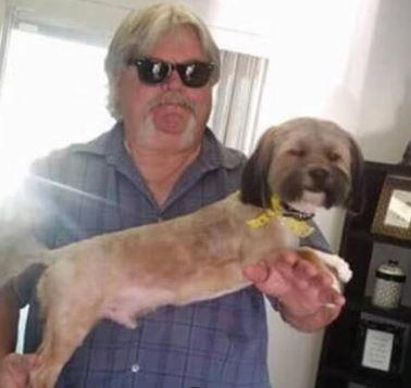 主人搬家抛弃狗狗 小狗在屋子门外哭了好几天