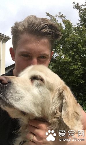 一只被预言会随时死去的狗狗，竟然坚持了13年