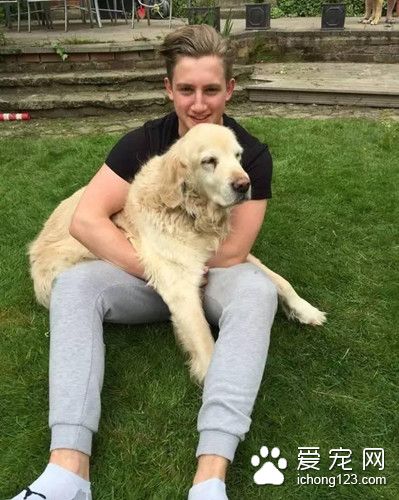 一只被预言会随时死去的狗狗，竟然坚持了13年