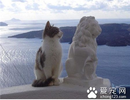 哥们，你这个发型哪儿理的？~