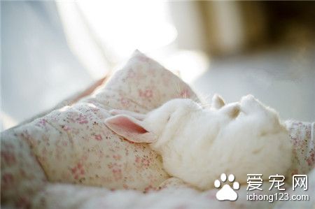 月宫上娇生惯养惯了~