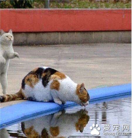 嘘！别出声！我要把它踢下去！