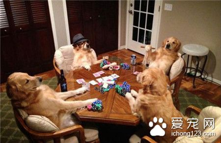 用这样的游戏来打发闲暇时光也是极好的。