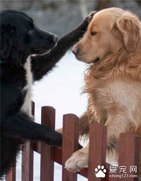 无需难过，很快我们就又会见面了呢！