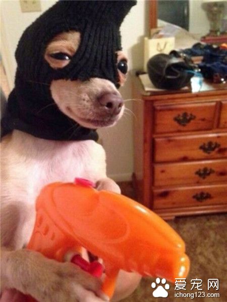 家里来了小偷啦。。。打打打打打~~~~~ 劫，IC IP IQ 卡,通通告诉我密码