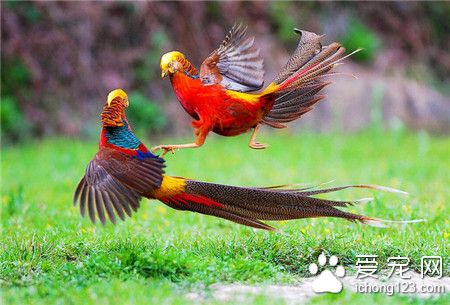 引领你我抵达那万紫千红般的春色！