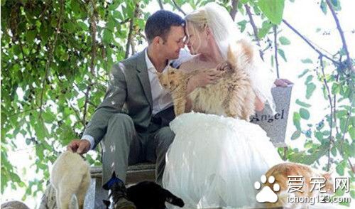 顶级“猫奴”的婚礼 1100只猫见证了他们的爱情誓言