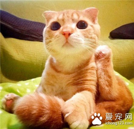 这忧郁的小眼神是看谁呢？