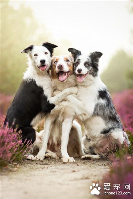 友谊地久天长~~