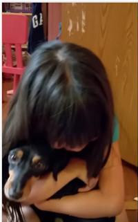 放学回家看到失踪2年的狗狗 小女孩瞬间泪崩