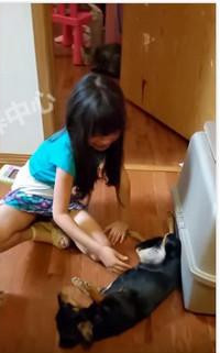 放学回家看到失踪2年的狗狗 小女孩瞬间泪崩