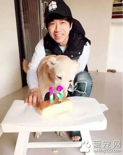 爱犬下半身瘫痪 但光良却对自己的爱犬不离不弃