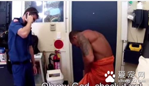 澳洲男作死整蛊比特 没想到下一秒发生了悲剧