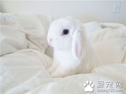 垂死病中惊坐起，感觉自己萌萌哒(⊙_⊙)