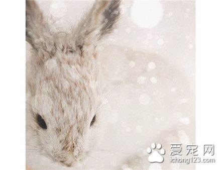 每天洗澡，皮肤好好~