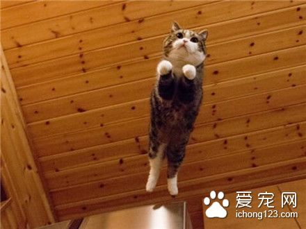 本次飞行目的地-盒子！早安！