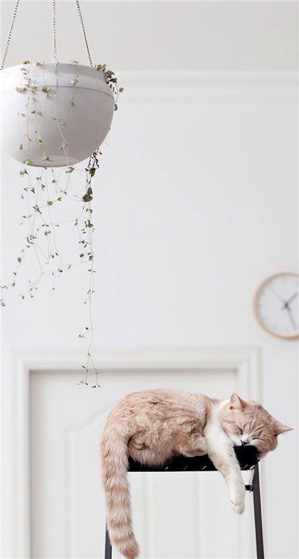 哎呀，小心掉下来呀！