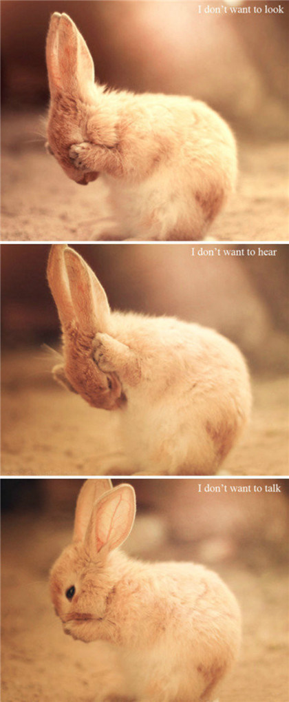 我不想看，我不想听，我不想说！