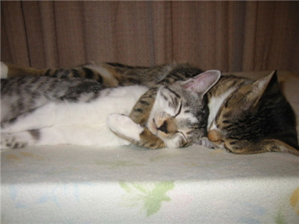 这姿势好有爱！