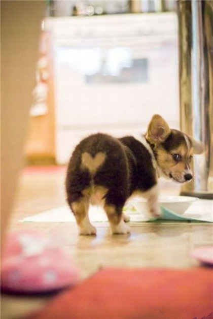 哎呀，你偷拍我的屁屁！