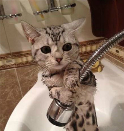 呜~主银~能不能不洗澡呢？