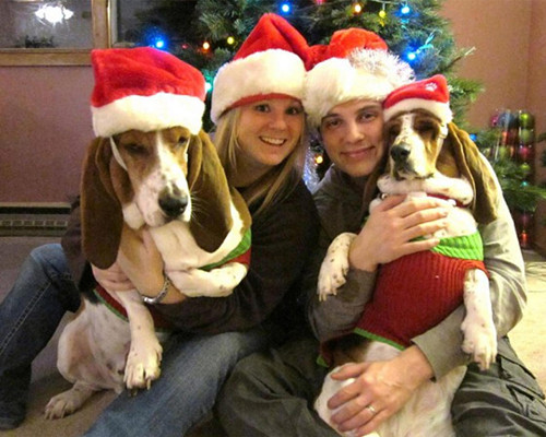 女婴因中风不幸离世 忠犬一路陪伴走完最好一程